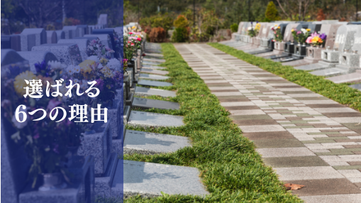 選ばれる6つの理由