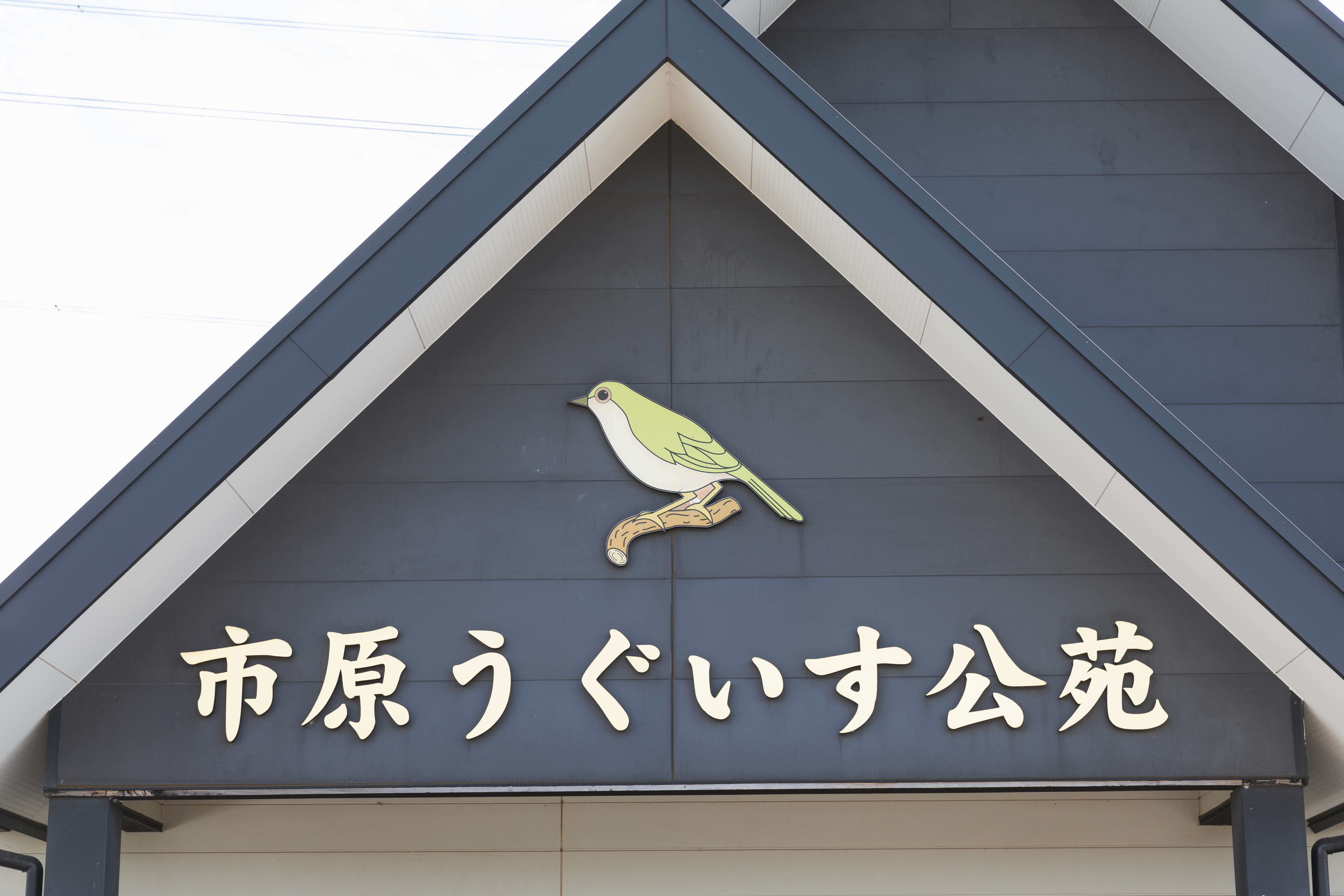 宗教不問